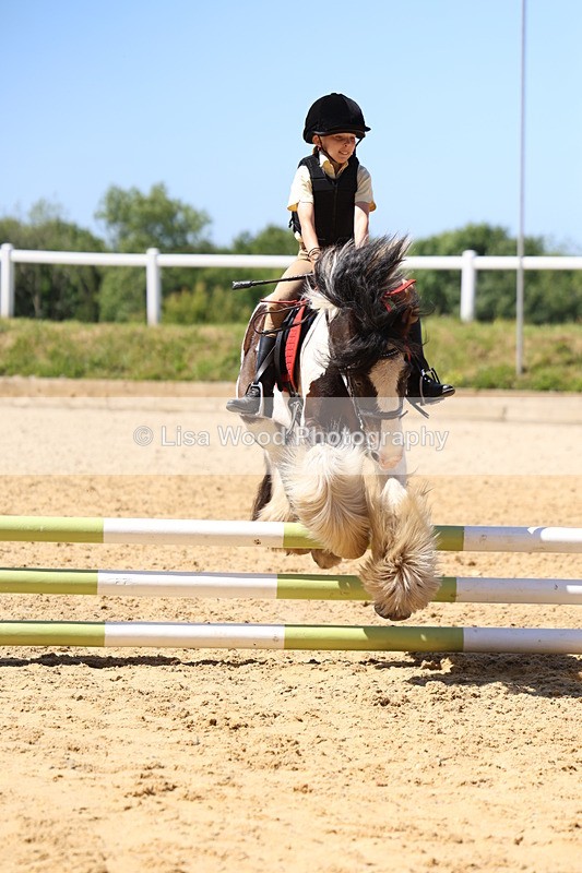 3E7A2583 - Class 4/5: 60cm Open Teams and Individuals