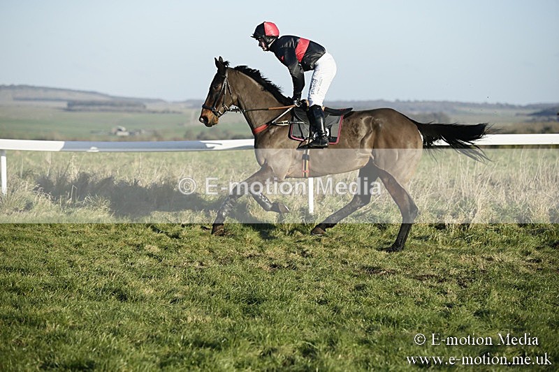 PtP 070118 -498 - Larkhill Racing Club Point to Point Larkhill 07/01/2018