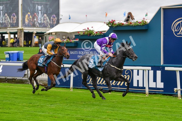 131023-Race 1-Pilgrim-9054 - Race 1 2.05pm William Hill EBF Novice Stakes