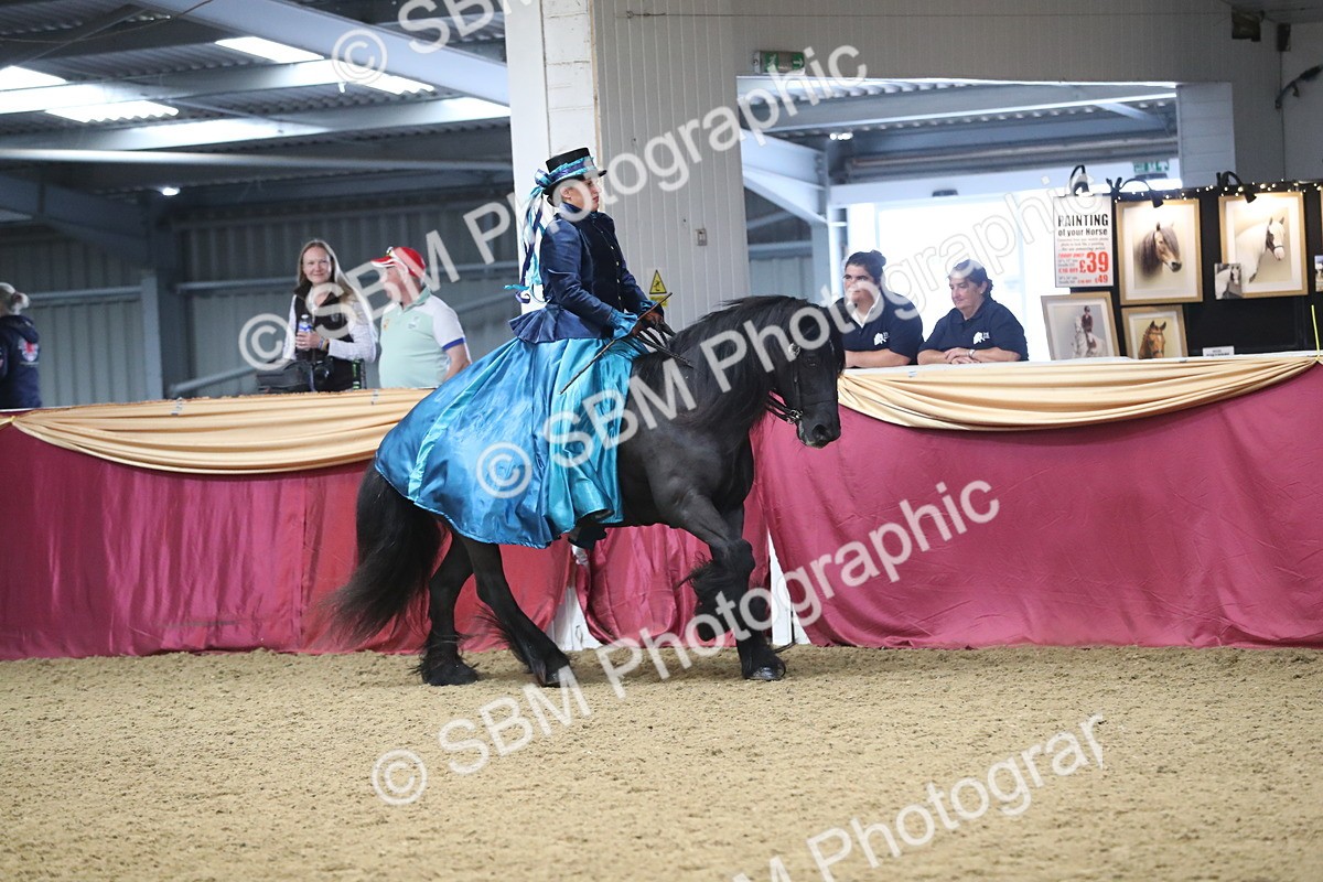 SBM_12136 - Class 107 Ridden Costume- Astride Adult (20+)