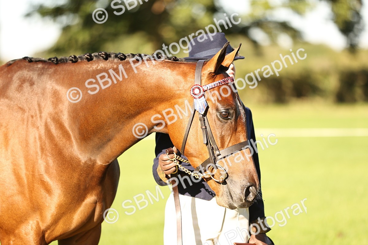 SBM_15724 - S1 - TSR in Hand Horse & Pony Showing