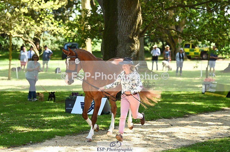 230524-150826-00084 - 308-NEFFECT_S-Kat_Raybould-WEDTrotUp+DR