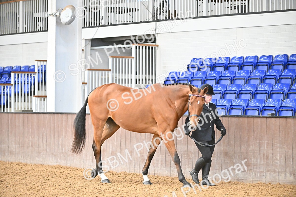 SBM_000112 - Class 6 - BSHA In Hand Racehorse to Show Horse