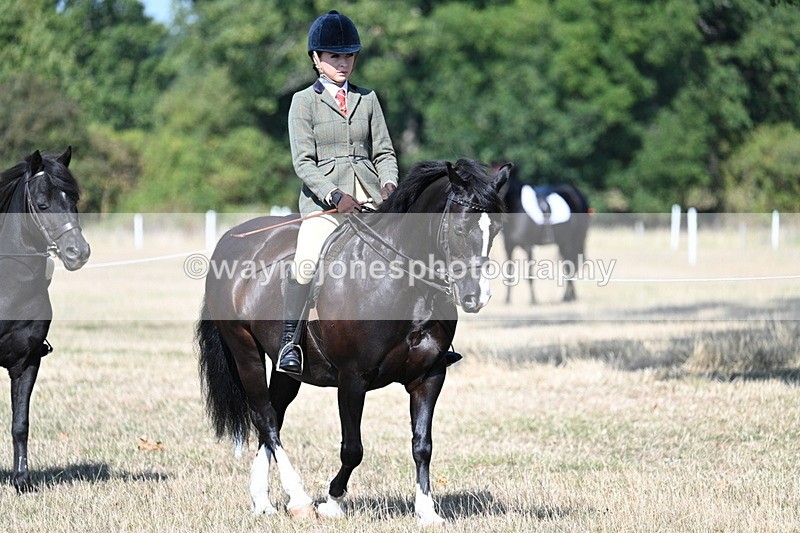 WJ7_3387 - Class 9 Mountain & Moorland Ridden