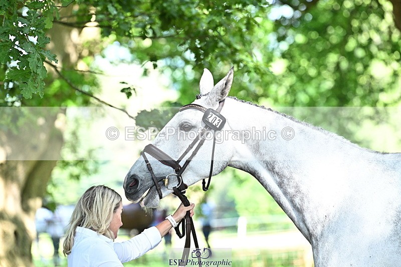 250521A-160108-00866 - C-203-Jonelle.Price-FAERIE.USAIN