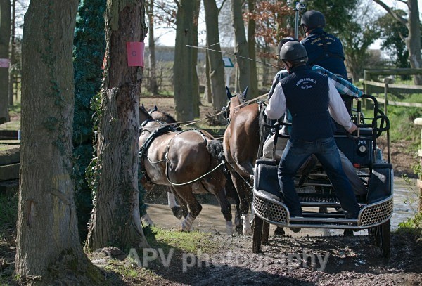 _DSC0218 - Ashfields Carriage & Polo Club