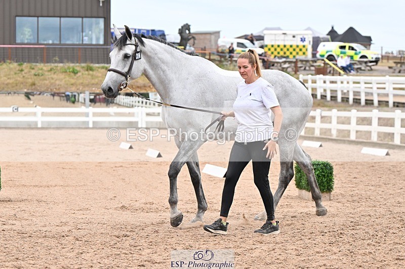 250716-160723-02424 - Trot Up 3.30 to 4.30