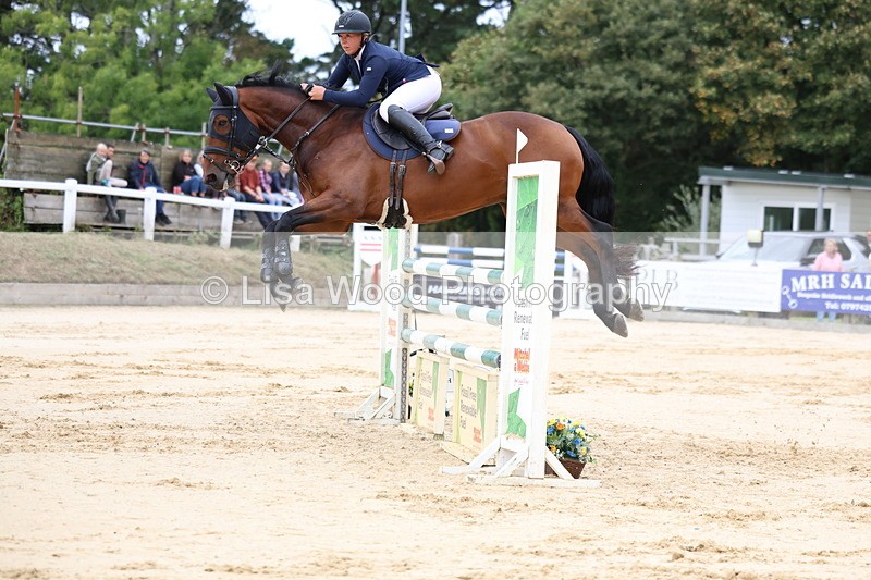 3E7A3443 - Class 9: Senior Foxhunter/1.20 open