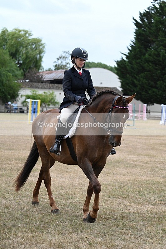 WJ7_0776 - Class 7 Riding Club Show Horse