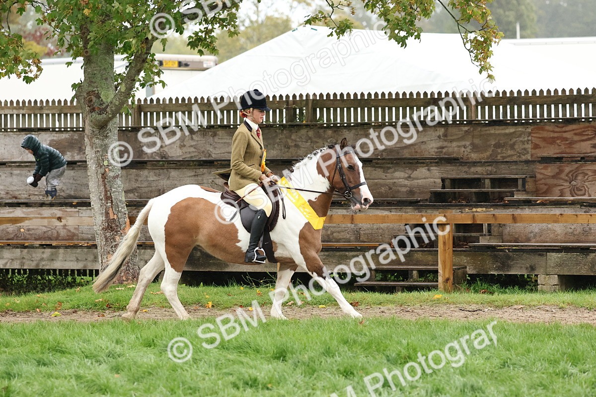 SBM_73135 - Ridden Pony Supreme Championship
