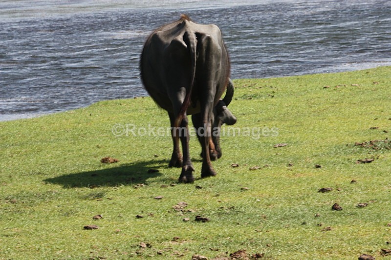  - Travel and culture