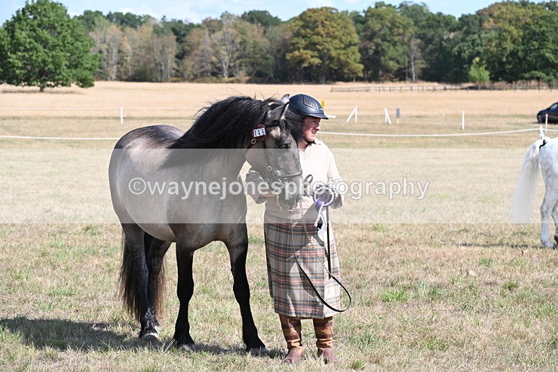 WJ6_5069 - Class 17 Mountain & Moorland