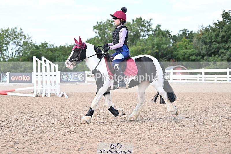 250821B-145009-00873 - Group D - Thomasina