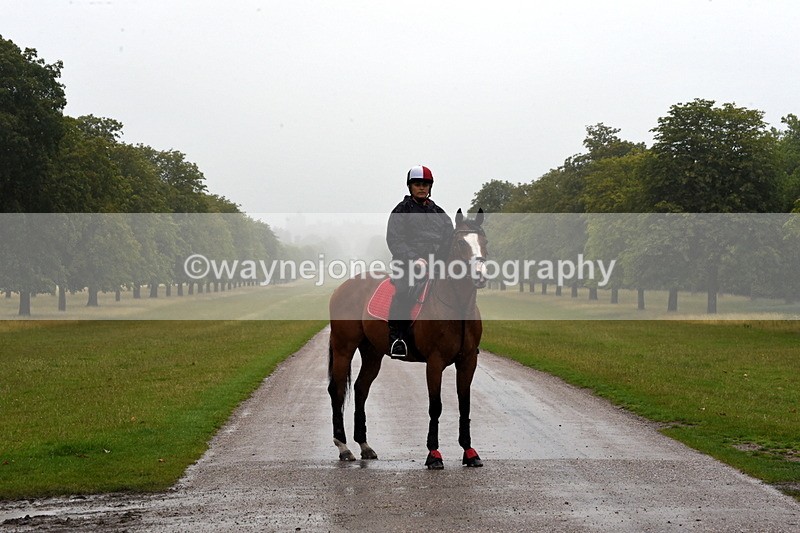 TT3_8394 - Time at Crossing 10:16 to 11:38