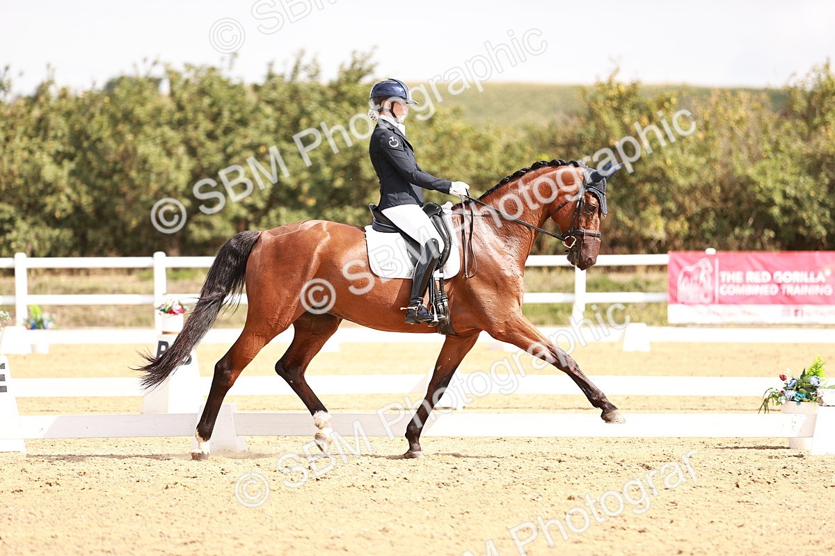 SBM_017650 - Class 11 - Advanced Medium 6