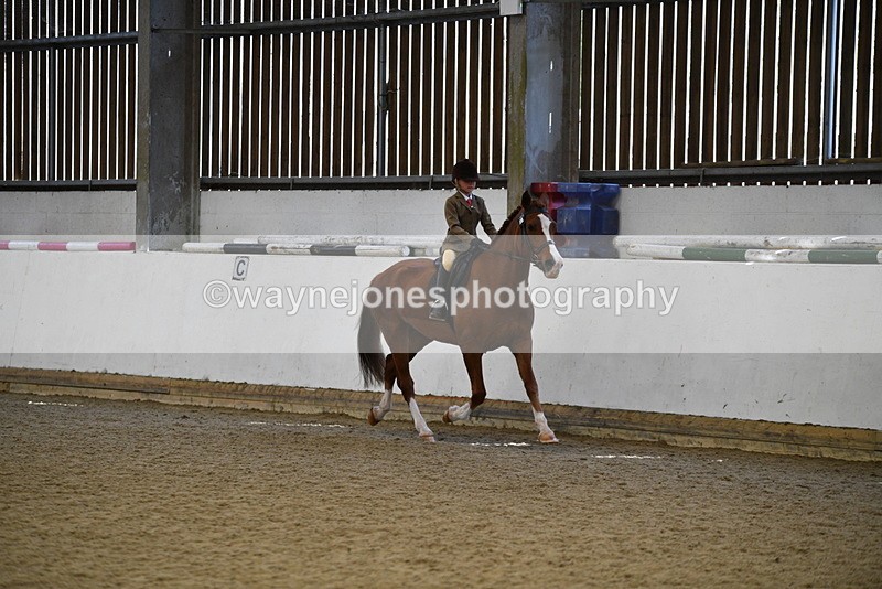 WJ5_6007 - Class 9 Ridden Veteran