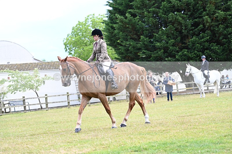 WJ7_9296 - Class 8 Ridden Veterans