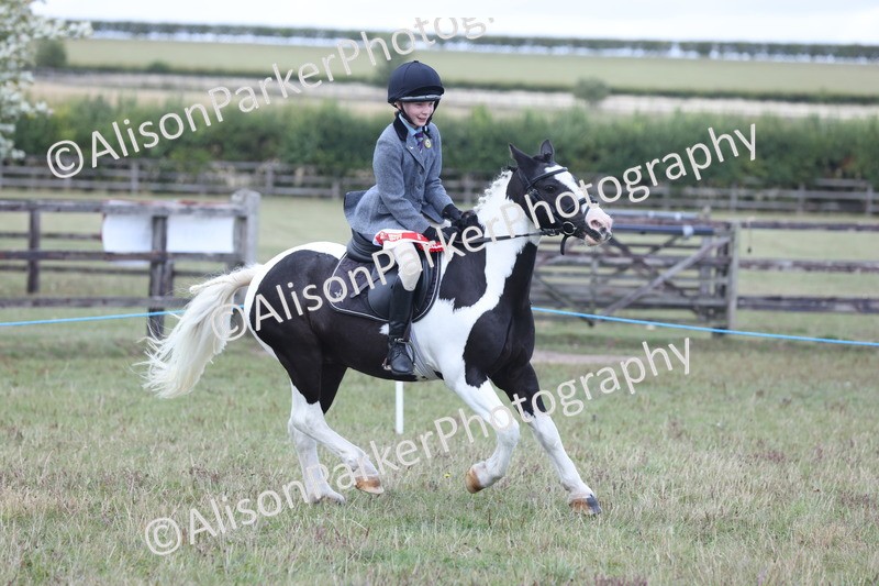 20250831-4371 - Class 20 - Ridden Coloured