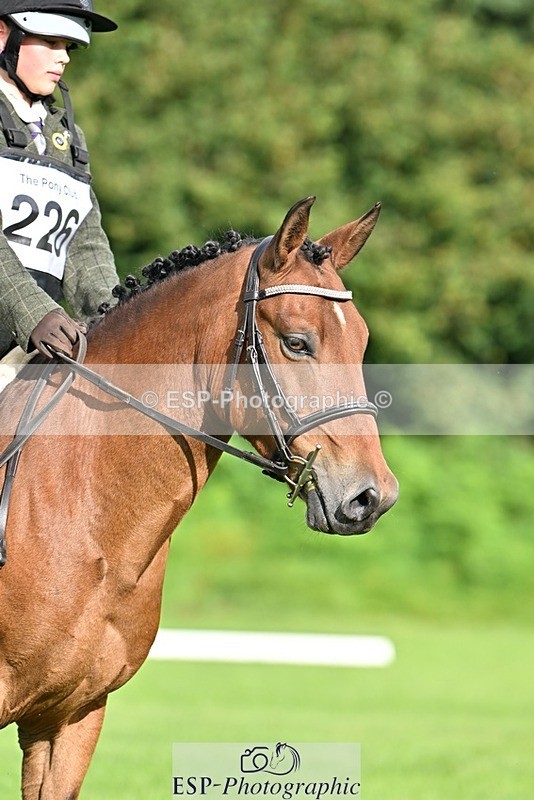 230826-090409-15917 - Sections A & B - 9 to 10am