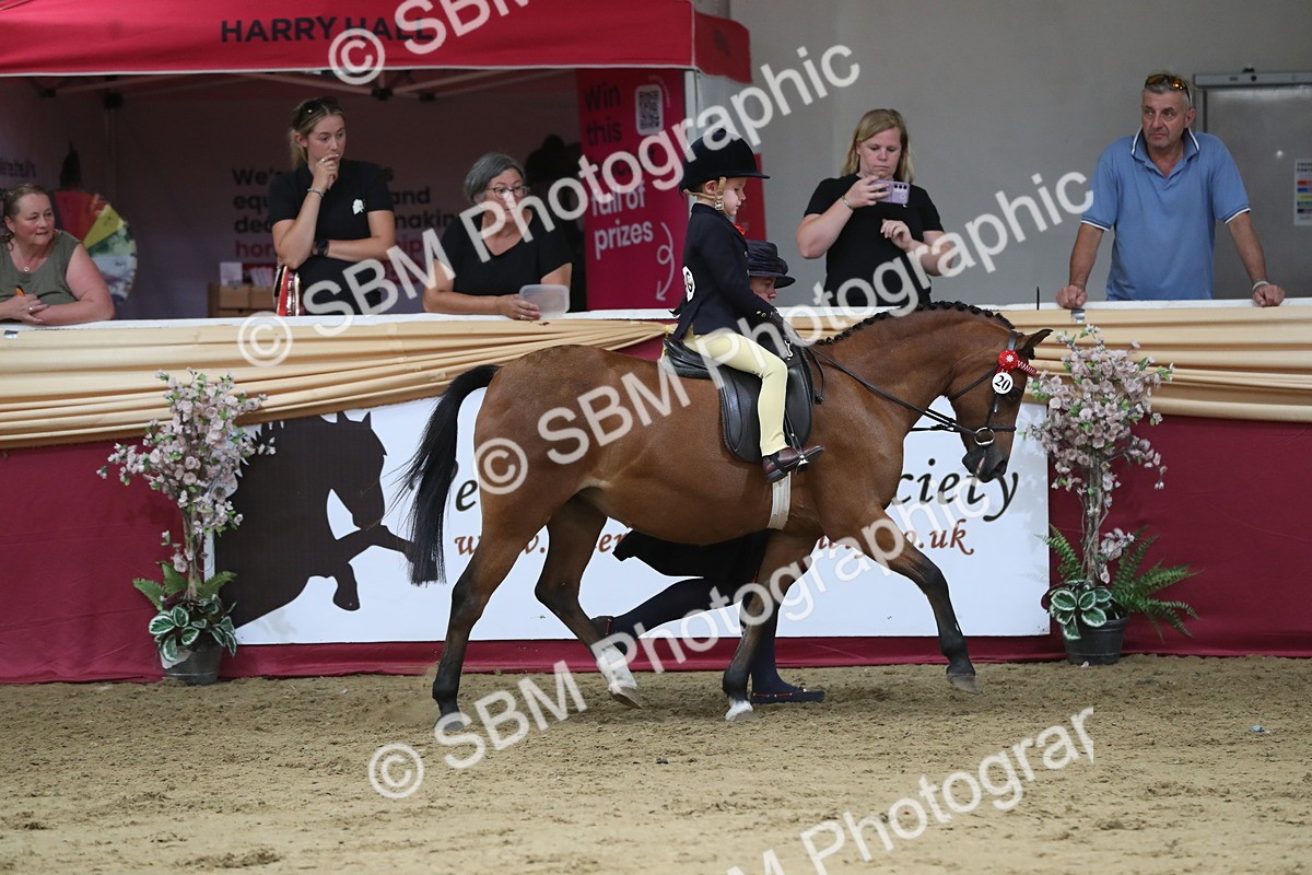 SBM_08366 - Class 11R Regional Ridden Veteran