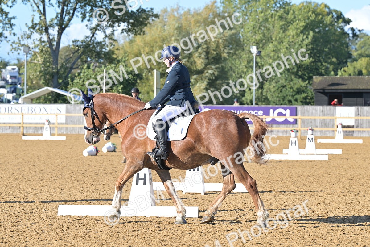 SBM_12997 - D3 - Small Tour Championship Intro 3