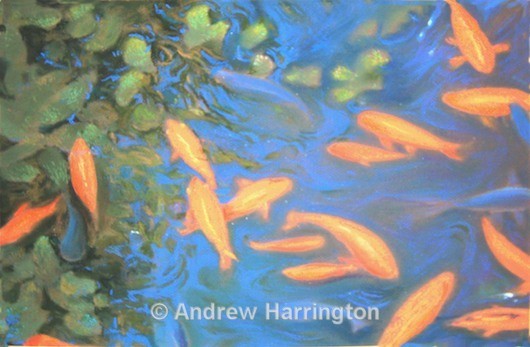 feeding time - Paintings 1