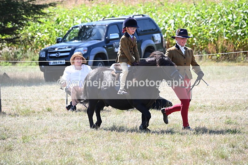 WJ6_8086 - Class 36 Lead Rein