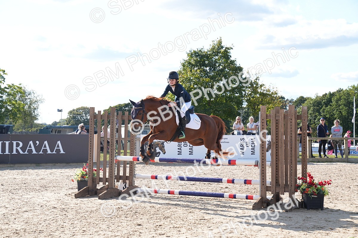 SBM_26106 - J61 - Clear Round 75cm & 85cm