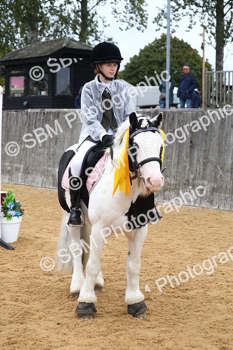 SBM_72112 - J3b - Mini Tour Junior Pony 40cm Championship