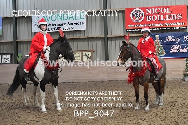 BPP_9047 - CLASS 3 50CM-70CM Pairs Show Jumping