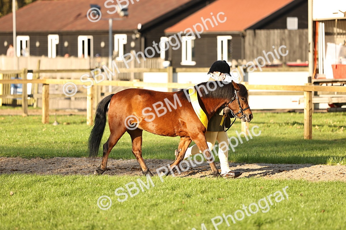 SBM_30119 - Novice & Newcomers Supreme Championship
