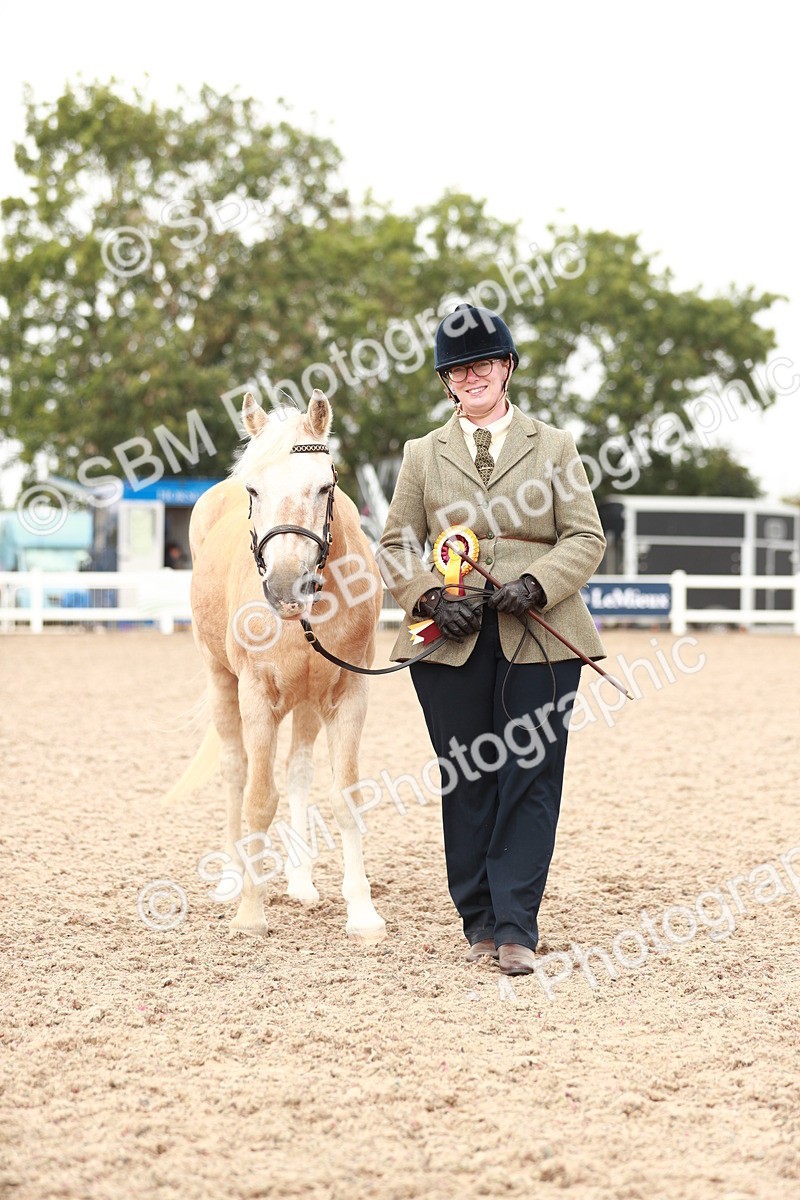 SBM_11924 - Class 206 IH Non Show Type Pony