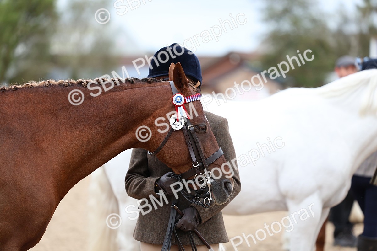 SBM_05958 - Class 29 - IH Veteran Pony