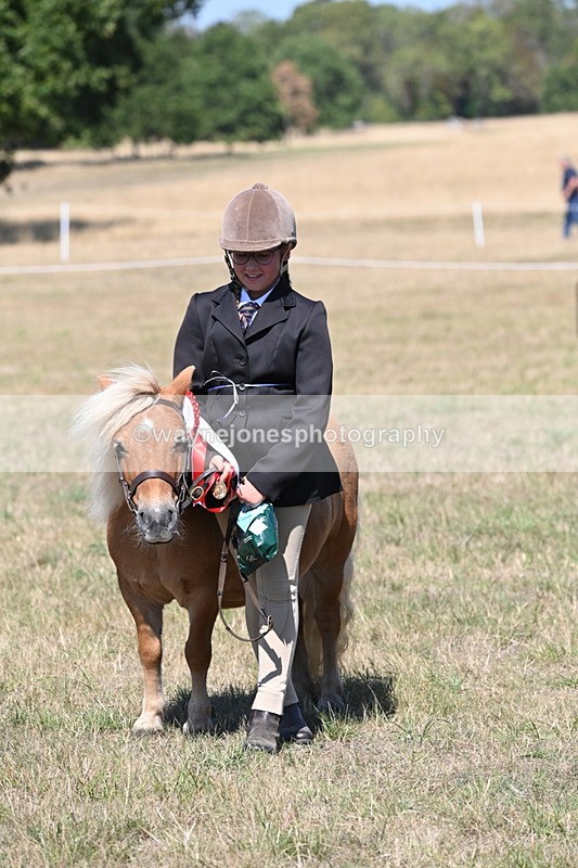 WJ6_8711 - Class 37b Best Loan Pony In-hand