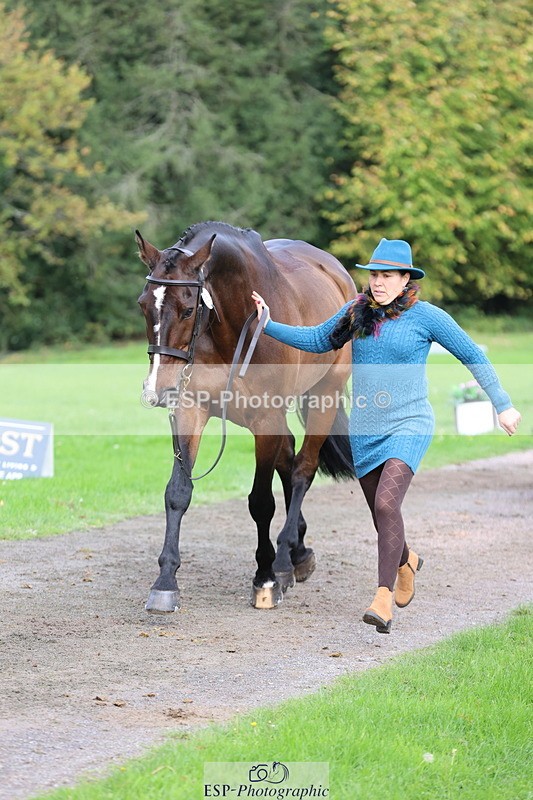 251026A-115612-25771 - G-518-Nicky.Ralph