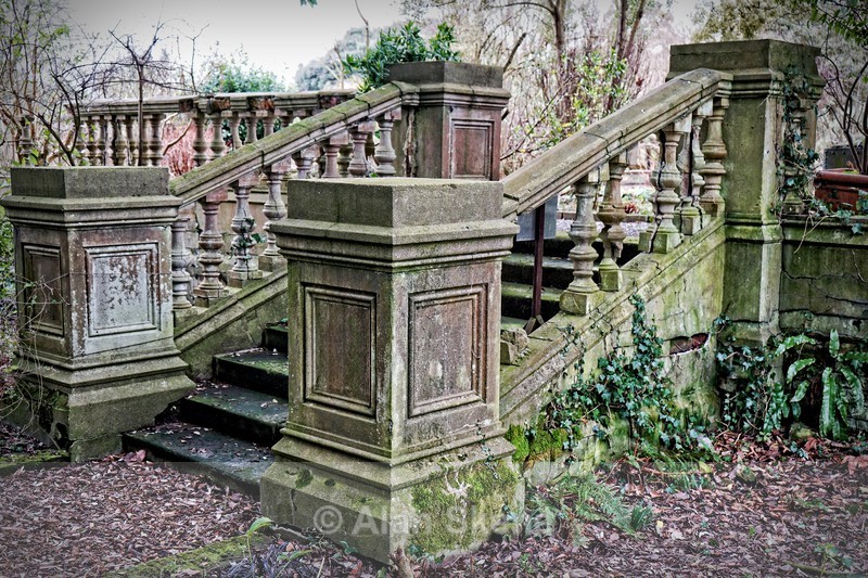 DSC02842 - ruins