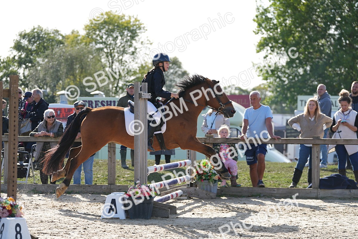SBM_49314 - J8 - Junior Pony 65cm Championship