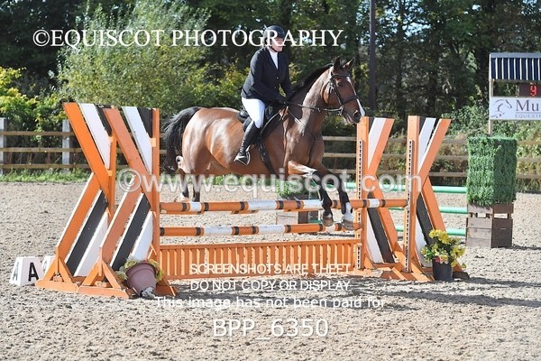 BPP_6350 - CLASS 5 Veteran Champion of Scotland