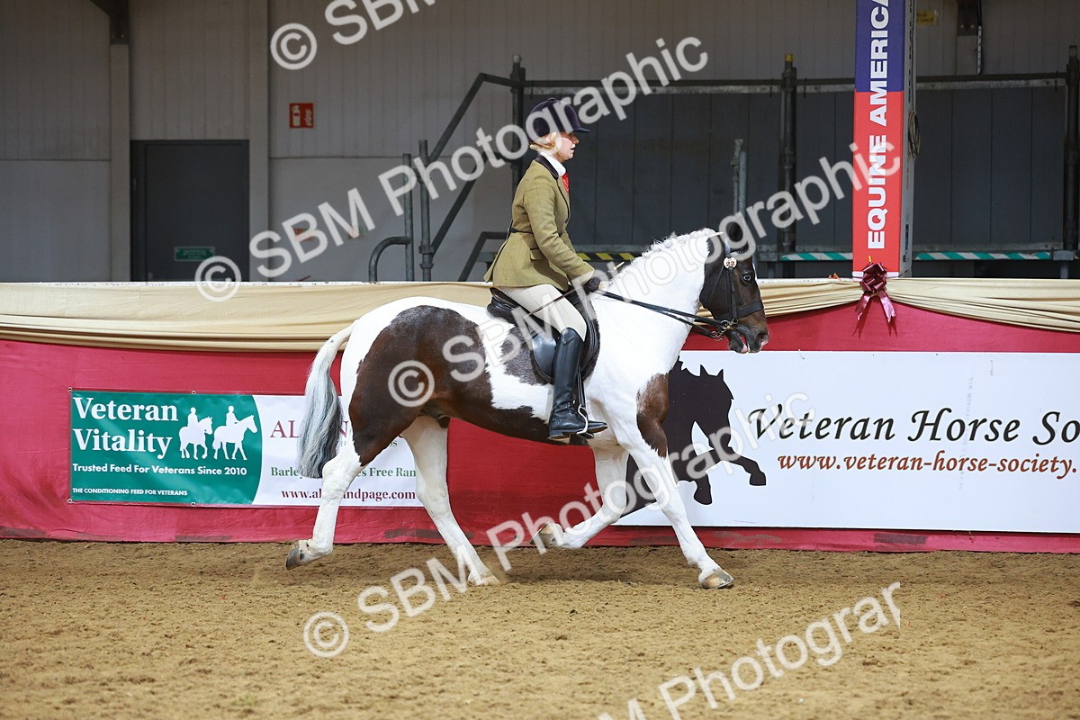 SBM_09394 - Class 102 - HOYS Veteran Qualifier - Ridden Veteran