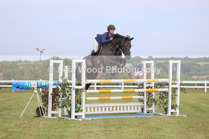 3E7A0838 - Class C: Showjumping Senior Foxhunter