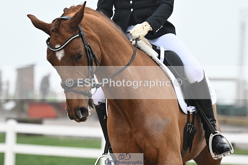 240217A-121211-02556 - 187-Victoria.Powell-W.W.Wilbur.Mac