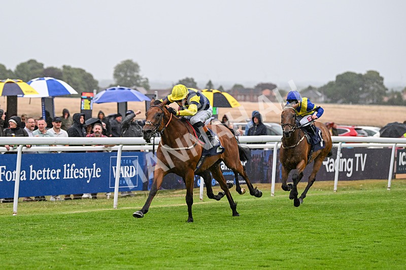 040725-Race 3-Orbaan-4684 - Race 3