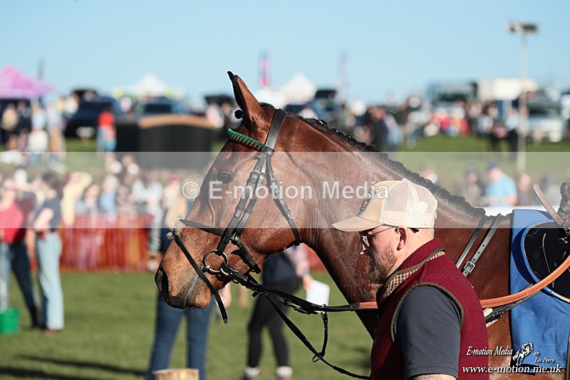 PtP 210326 1147 - VWH Cirencester Races 21/03/26