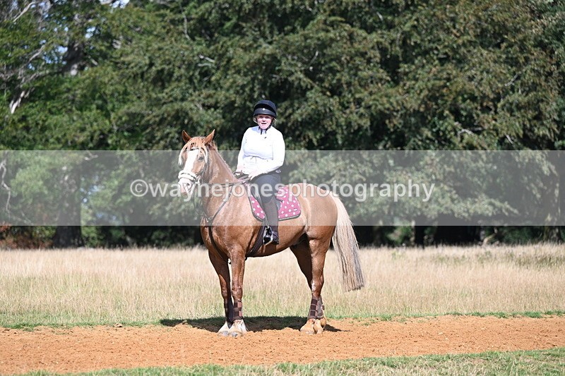 DSC_0208 - Time at Statue 15:58 to 16:05