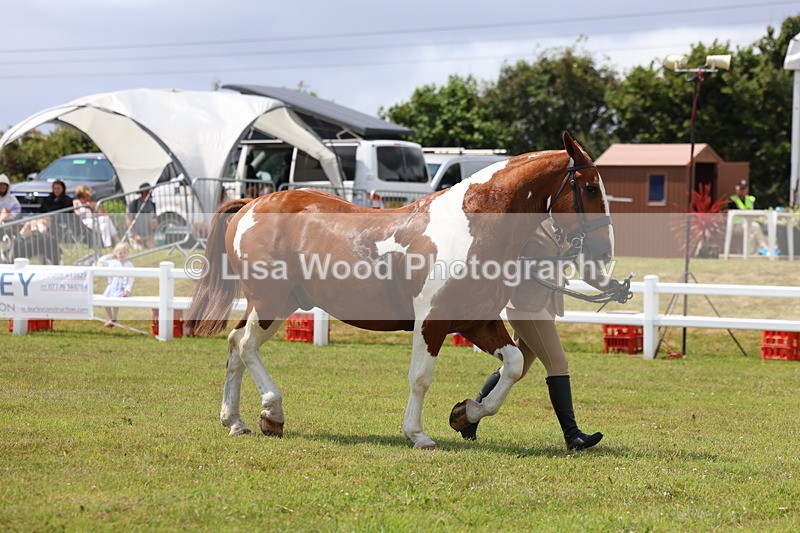 3E7A2127 - Class 10: Open Cob