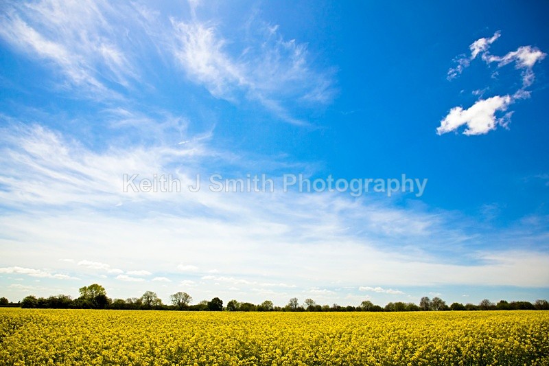 YR6M4391 - United Kindom