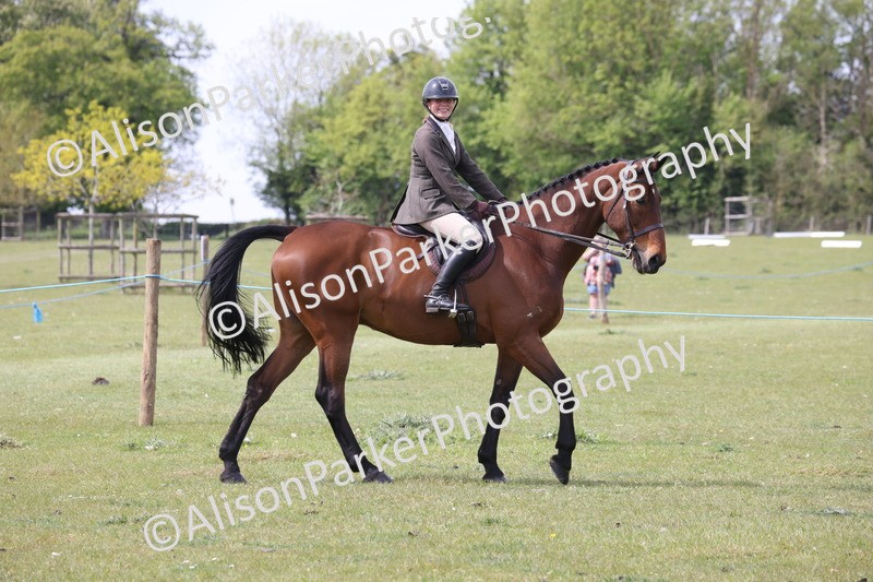 20260426-4301 - Class 34 - Best Riding Horse Over 14.2hh