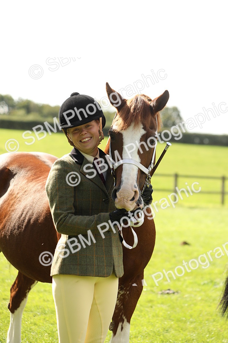 SBM_65507 - S47 - Mountain & Moorland In Hand Large Breeds