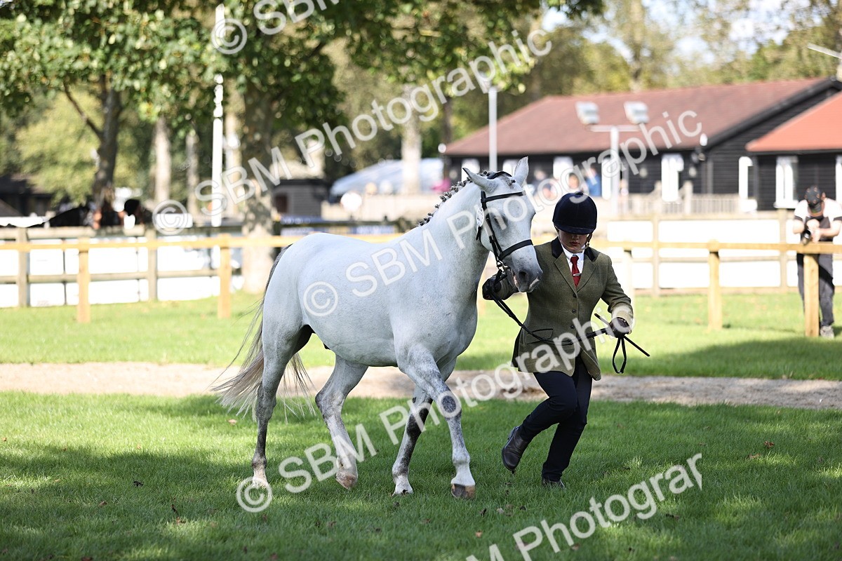 SBM_26226 - S5 - Novice & Newcomers In Hand