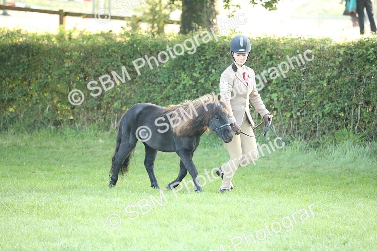 SBM_57813 - S42 - Youngstock